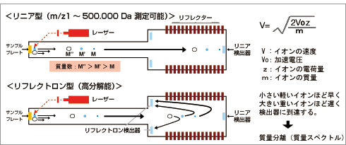 リニア型 リフレクトロン型