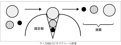 カラム クロマト グラフィー 原理