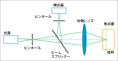 共焦点レーザー顕微鏡