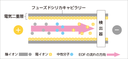 電気浸透流