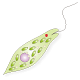 ミドリムシ