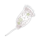ツリガネムシ