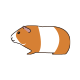 モルモット