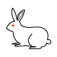 ウサギ