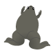 アフリカツメガエル