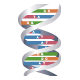 DNA縺ｮ莠碁�崎楴譌�