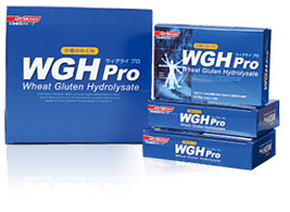 日清ファルマ (WGHpro) ウィグライプロ 15包×4箱